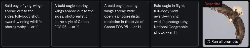 Describe eagle prompt